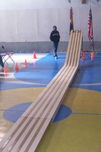 Track_Pinewood_Derby