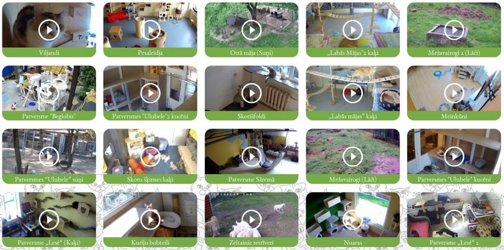 animals_cam