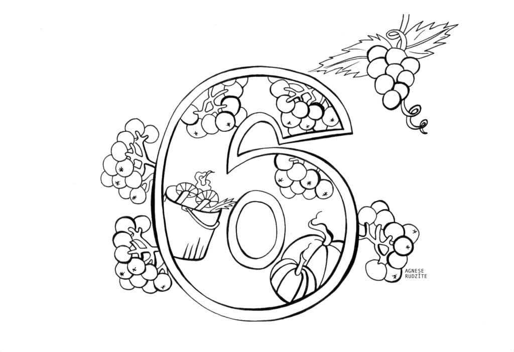cipari-krasojami-RYEfield (6)